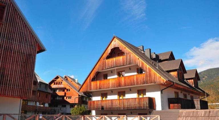 Apartments Vrsic with beautiful views on the Mountains with free parking — photo 2