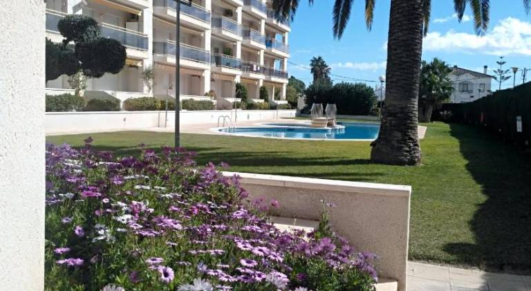Rental apartment with pool | Close to the beach | Pets are welcome — photo 2