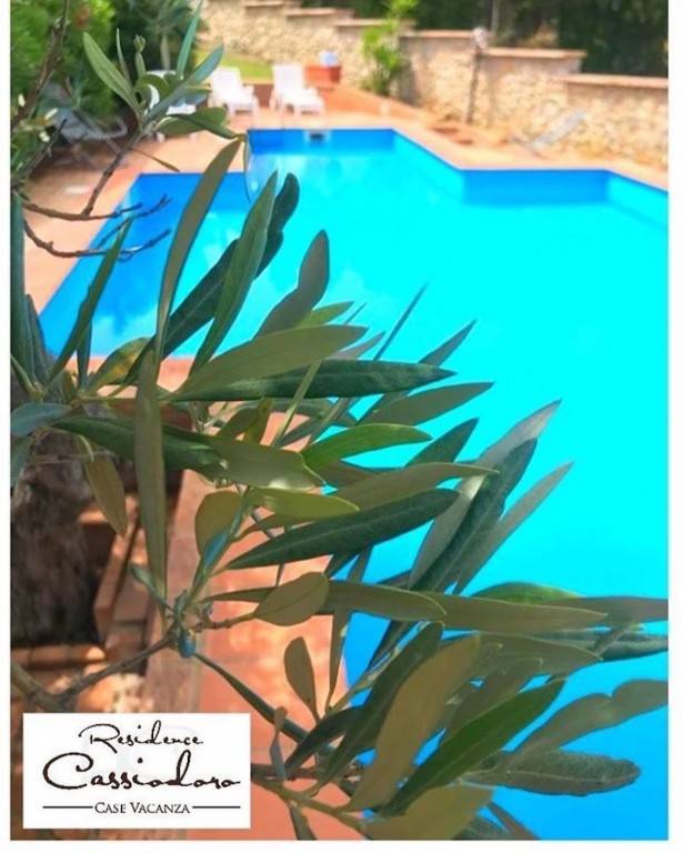 Apartment with yard & private pool — photo 5