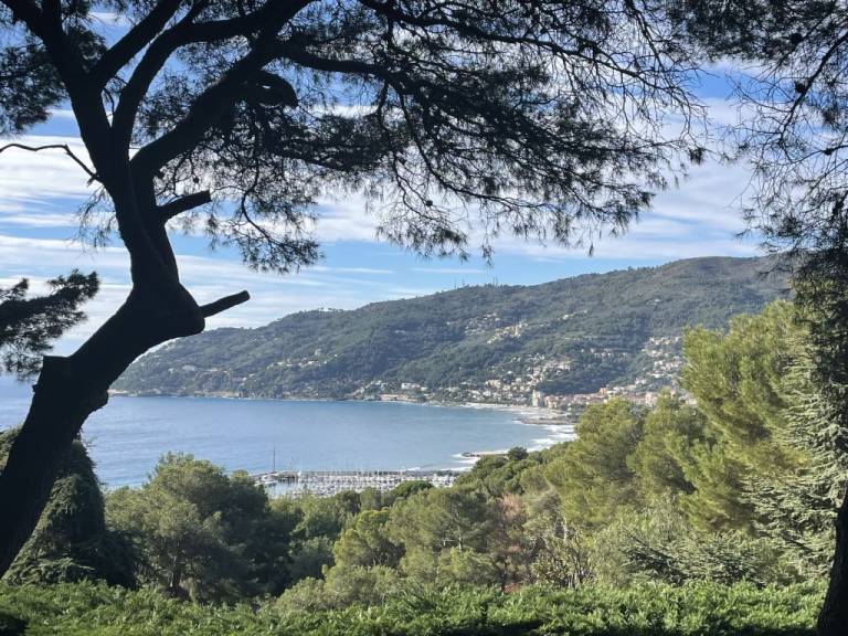 foto18