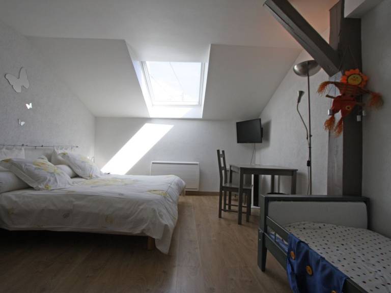 foto7