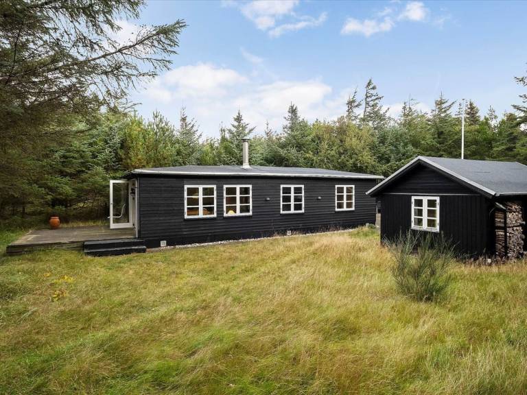 Ferienhaus mit Hund in Blokhus, Jammerbugten f&uuml;r max. 4 Personen