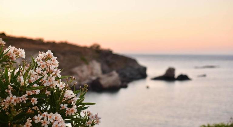 House with terrace & yard | Pets are welcome in Syros