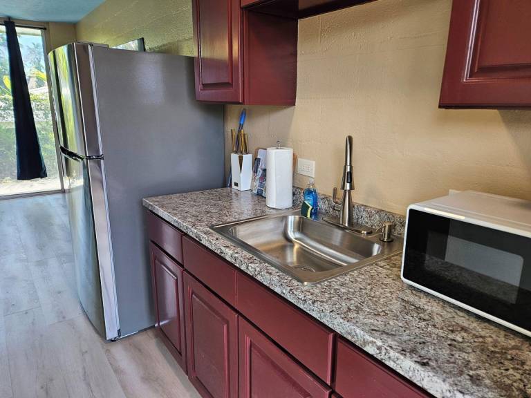 Plumeria Hilo Hotel — photo 3