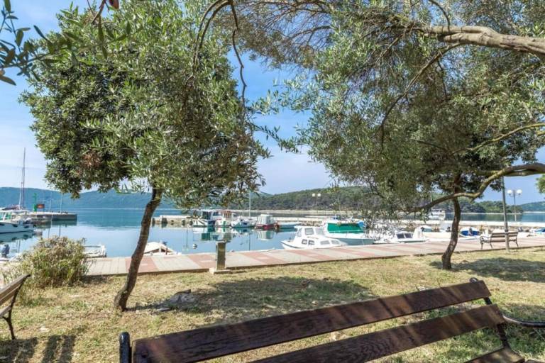Apartman Otok Ist