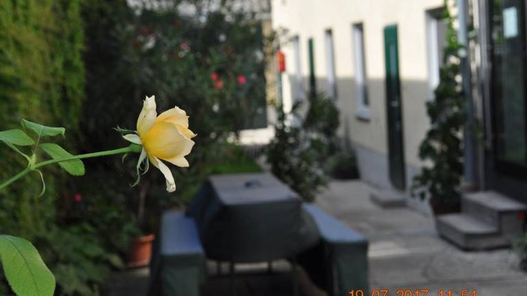 foto19