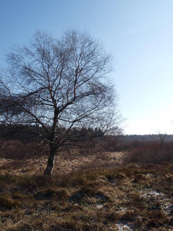 foto12