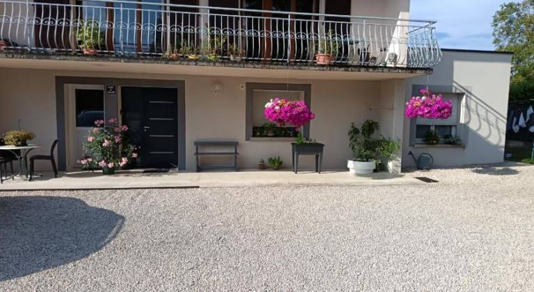 Wonderful holiday apartment | Pets are welcome — photo 4