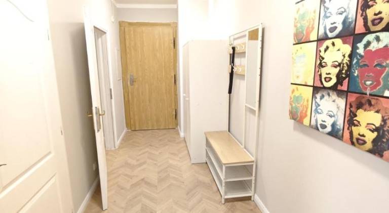 Zollikof Aparts - Sauna & Studioapartments — photo 3