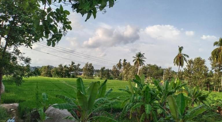 Bed and breakfast Hampi
