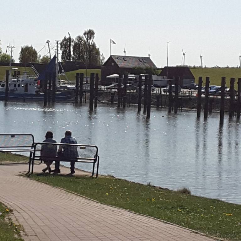 foto12