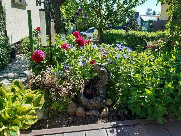 foto21