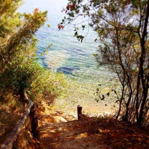 foto46