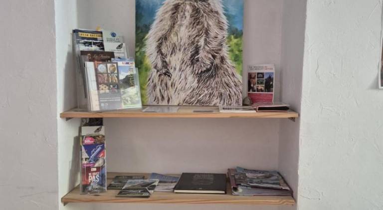 foto22