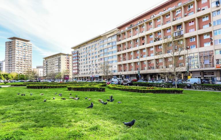 Apartment  Sector 1