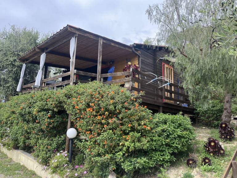 foto48
