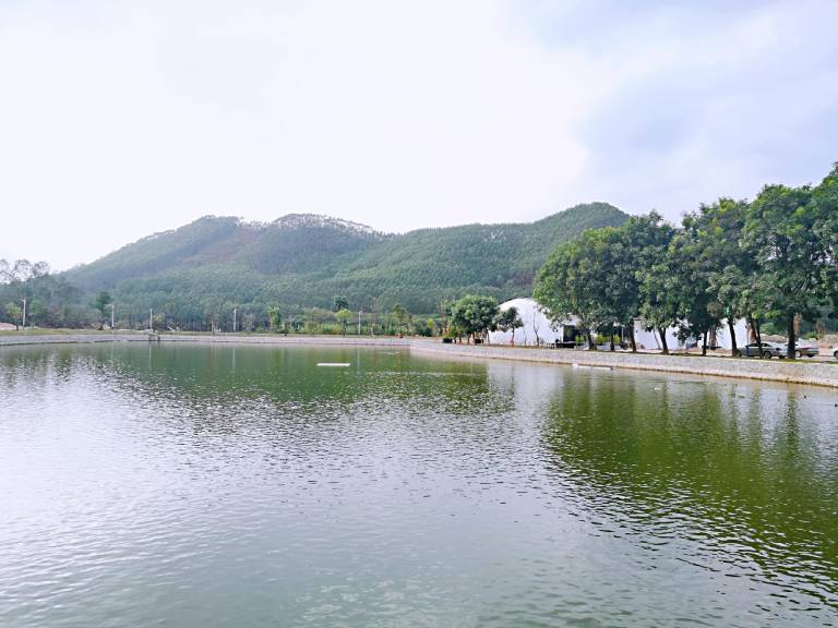 Luofu Water Margin Holiday Villa — photo 4