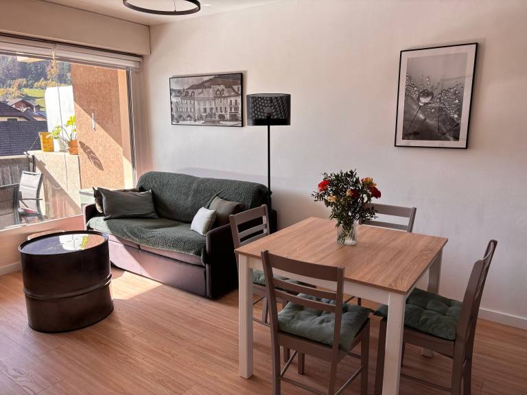 Appartement Thônes