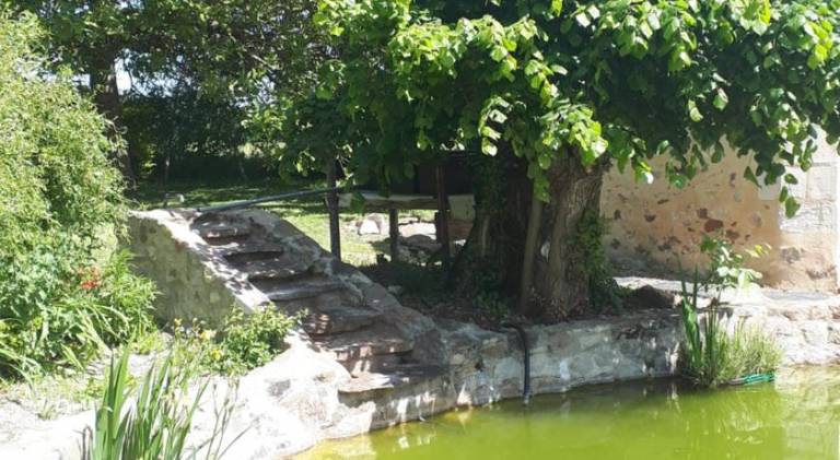 LOGEVEIL - Maison d'hotes ''Charme et Bien-etre'' - proche foret et golf — photo 4