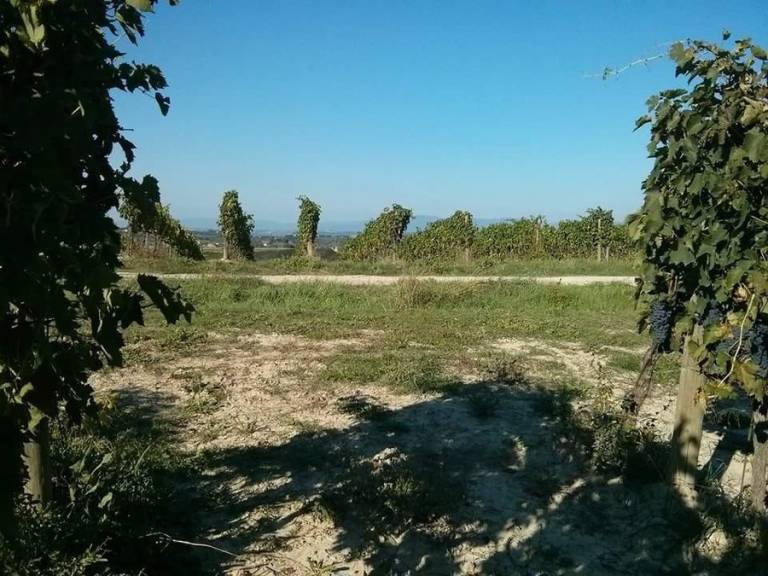 foto16