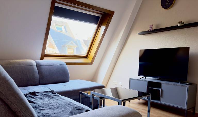 783 Gem&uuml;tliche Wohnung im Zentrum Halles Saale