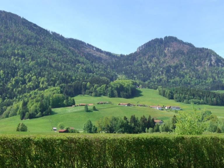foto11