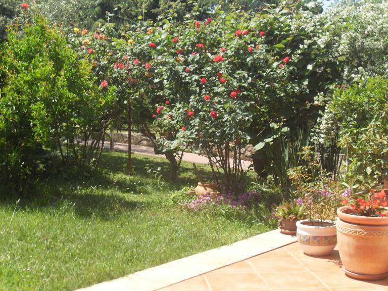 foto5