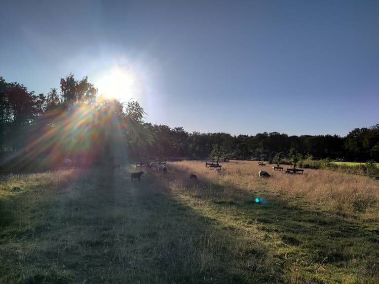 foto24