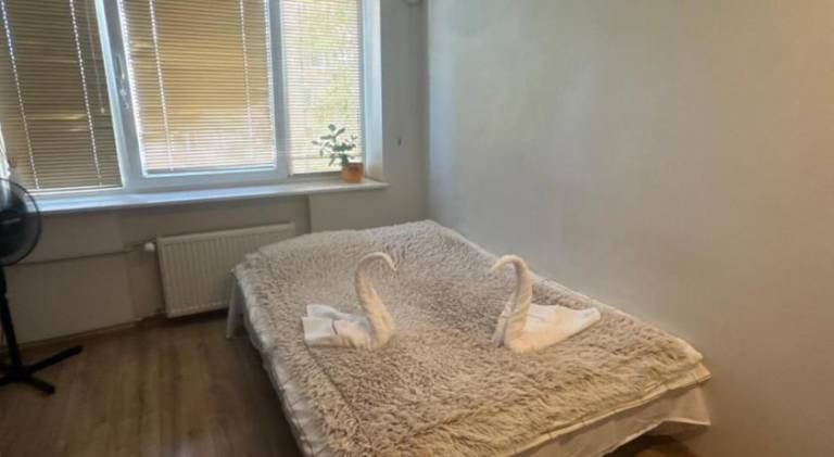 Apartment | Pets are welcome — photo 4