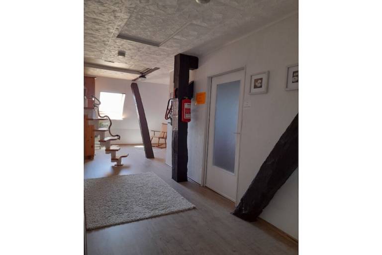 foto39