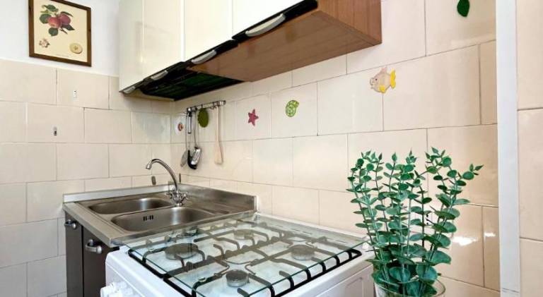 Beautiful rental apartment | Close to the beach | Dogs allowed — photo 4