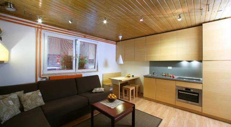Rental apartment with sauna, barbecue & yard — photo 2