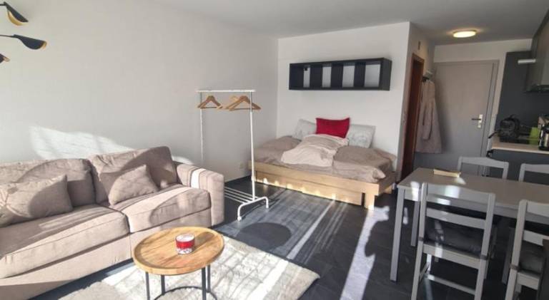 Lovely rental apartment | Pets are welcome in Martigny
