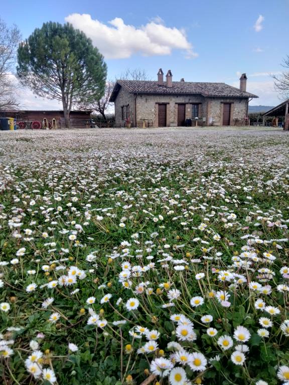 Privatzimmer Pitigliano