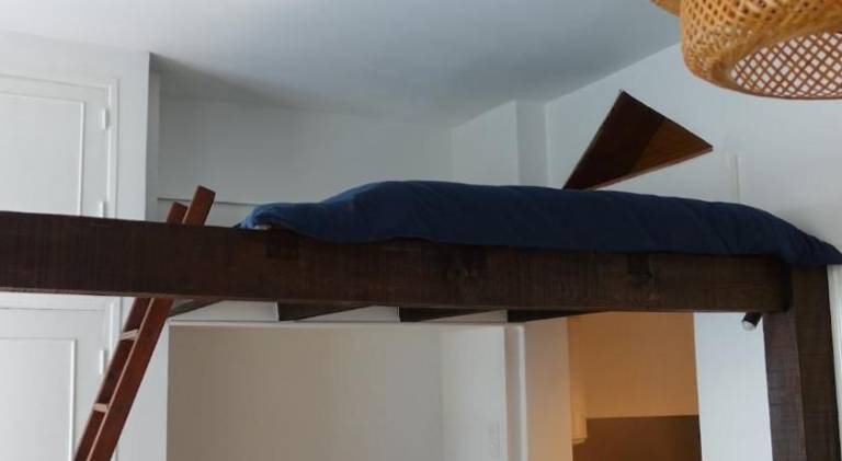 Nice rental apartment | Near Toulouse Cathedral | Dogs allowed — photo 4