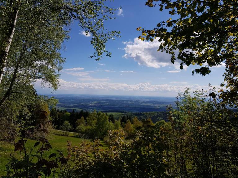 foto17