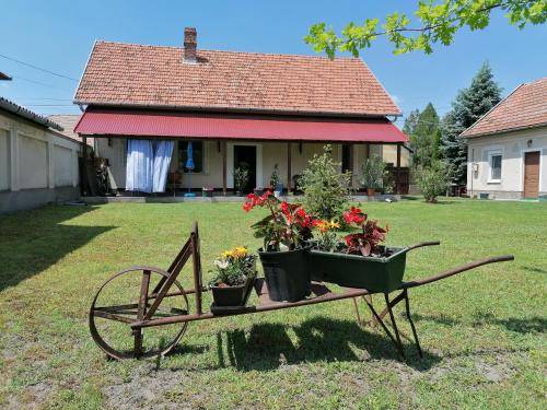 Apartman Ásotthalom