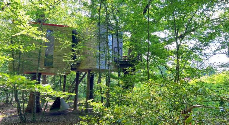 Domaine des Galants - Nids Perches — photo 5
