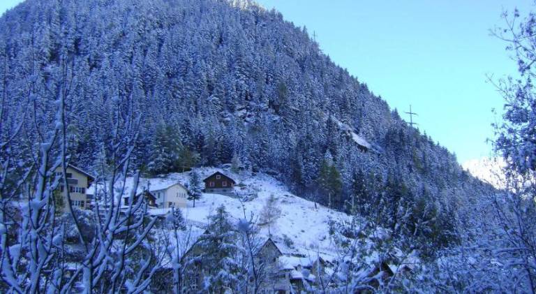Hotel Gotthard — photo 5