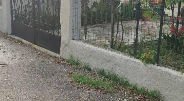 foto5