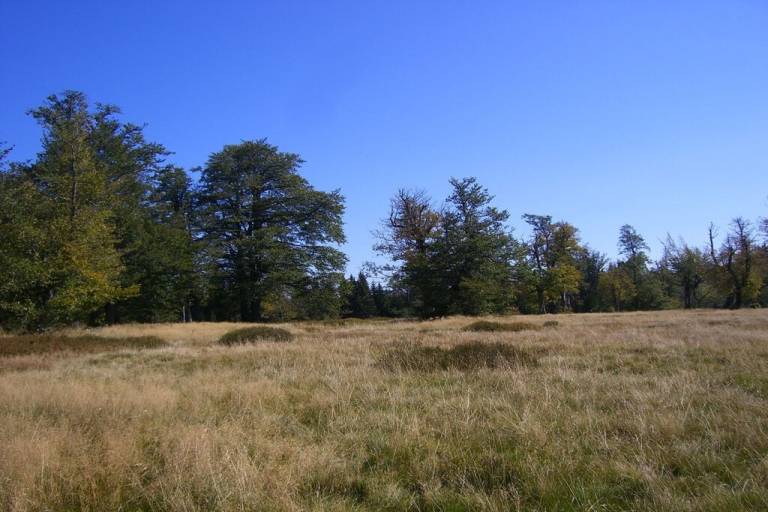 foto19