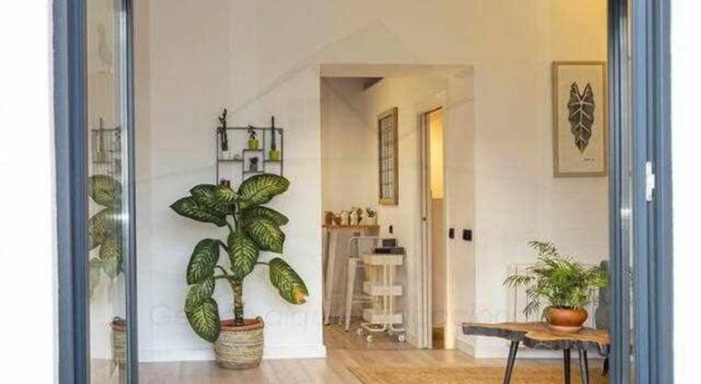 Charming holiday apartment with patio | Next to the beach | Pets are welcome — photo 5