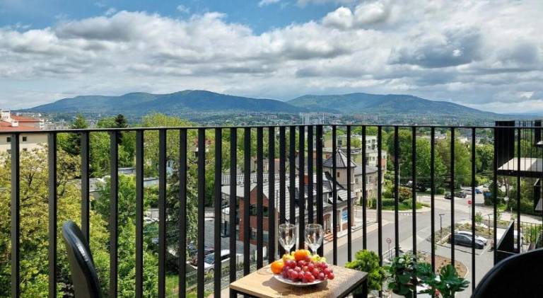 Apartment with 2 rooms for 6 persons in Bielsko-Biala