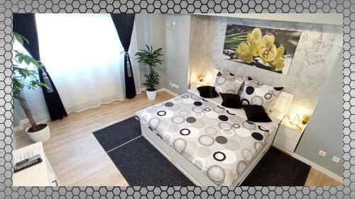 foto20