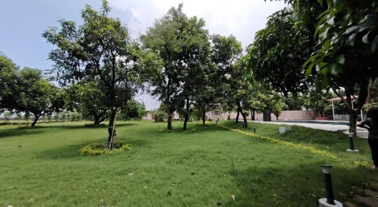 foto15