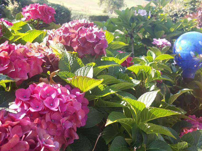 foto20