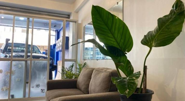 Lovely holiday apartment | Pets are welcome — photo 3