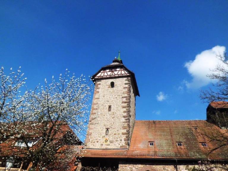 foto20