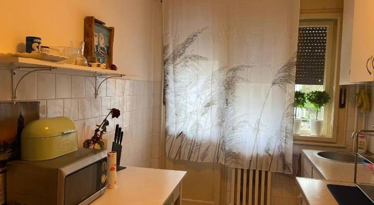 Rental apartment with patio & yard — photo 5