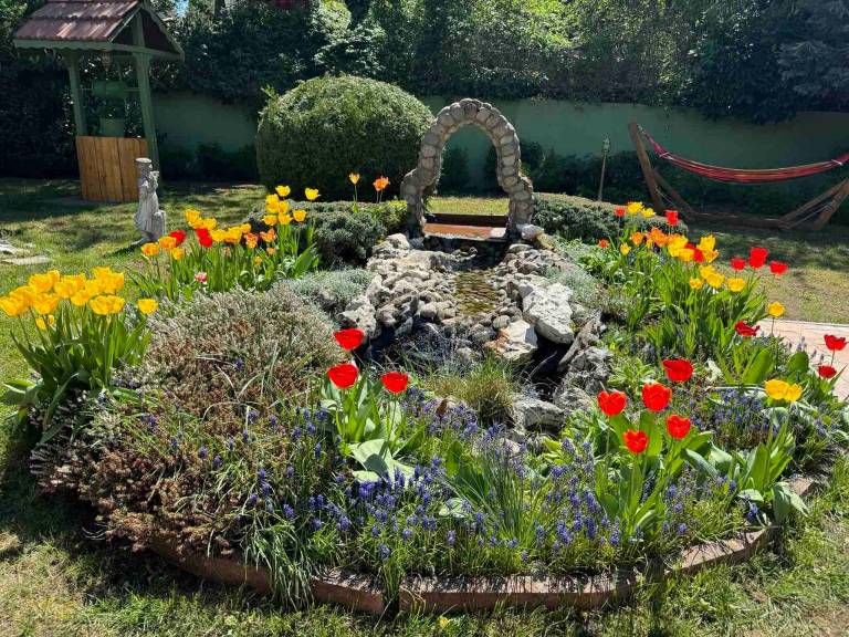 foto34